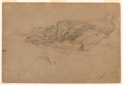Studie uit de natuur door Thomas Doughty