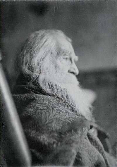 Walt Whitman in Camden, N.J. door Thomas Eakins