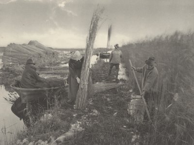 Tijdens de rietoogst,1886 (foto) door Thomas Frederick Goodall