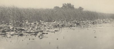 Waterlelies,1886 (foto) door Thomas Frederick Goodall
