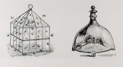 Wespen- en vliegenvallen, uit Thomas Mawson