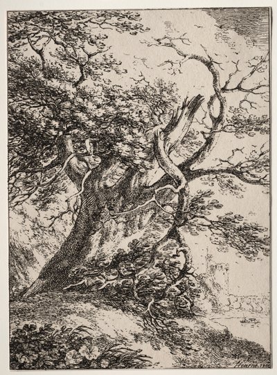 Specimens of Polyautography: Landschap met een eik door Thomas Hearne