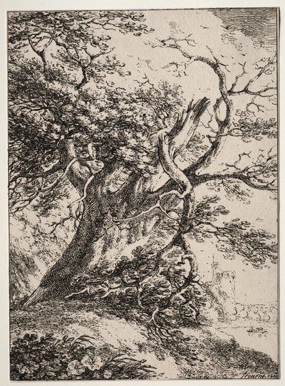 Specimens van Polyautografie: Landschap met een eik, 1803 door Thomas Hearne