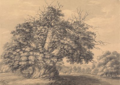De kastanjeboom bij Little Wymondley, Hertfordshire door Thomas Hearne