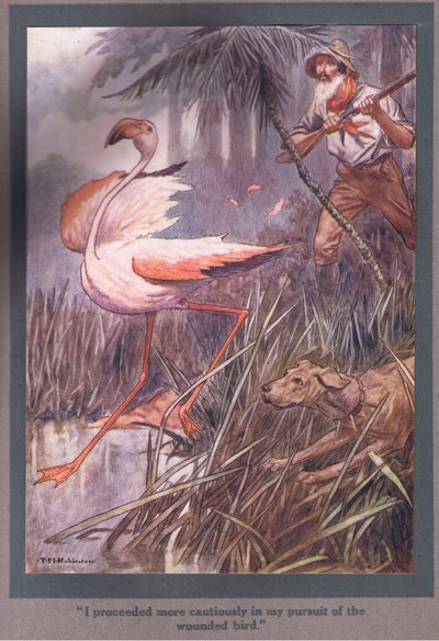 Ik ging voorzichtiger te werk in mijn achtervolging van de gewonde vogel (kleurenlitho) door Thomas Heath Robinson