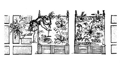 Planten in verhoogde bedden, uit 