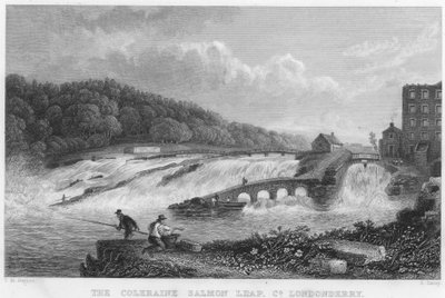 De Coleraine Zalmensprong, County Londonderry (gravure) door Thomas Mann (after) Baynes