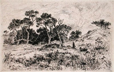 Een zuidelijke wind en een bewolkte lucht kondigen een jachtmorgen aan door Thomas Moran