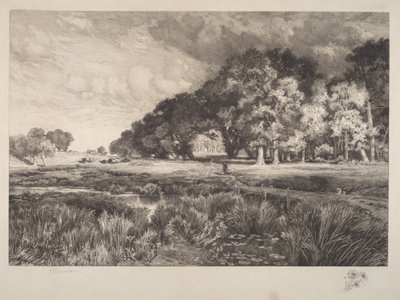 Landschap van Long Island door Thomas Moran