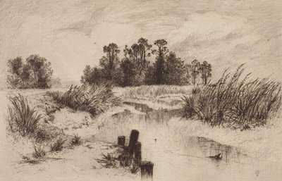 Moerassig landschap met beek door Thomas Moran
