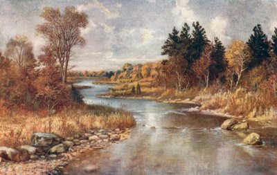 In het land van de elanden, bij Lake Superior (kleurenlitho) door Thomas Mower Martin