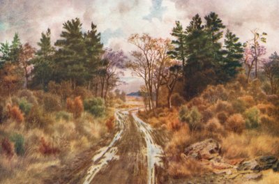 Weg bij de baai van Fundy, herfst (kleurenlitho) door Thomas Mower Martin