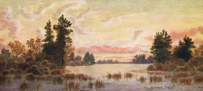  door Thomas Mower Martin