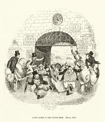 Illustratie voor Valentine Vox (gravure) door Thomas Onwhyn