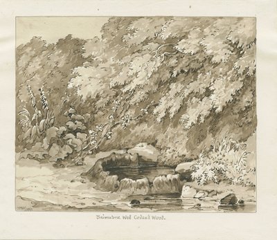 Codsall Wood - Brimstone Well door Thomas Peploe Wood