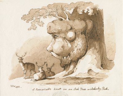 Wolseley Park - Knoop op een Eikenboom: pen en sepia tekening door Thomas Peploe Wood