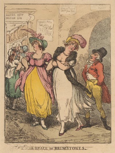 Een paar citroenvlinders door Thomas Rowlandson