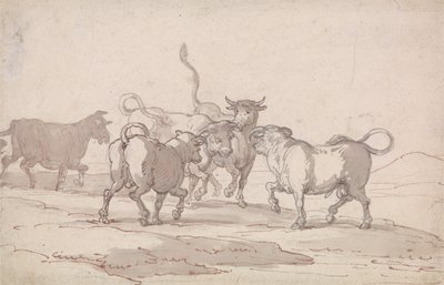  door Thomas Rowlandson