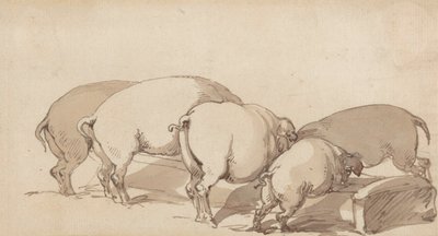 Varkens bij een Voederbak door Thomas Rowlandson