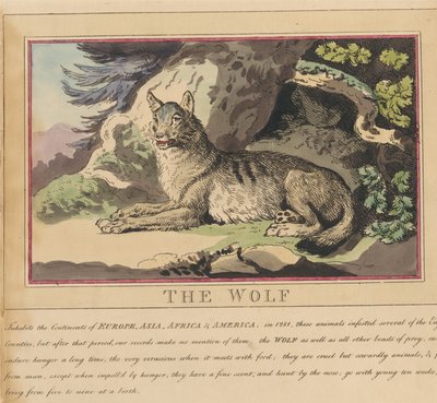  door Thomas Rowlandson