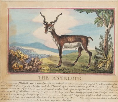 Set van acht met titelpagina. ‘Buitenlandse en inheemse dieren.’ 8. De antilope door Thomas Rowlandson