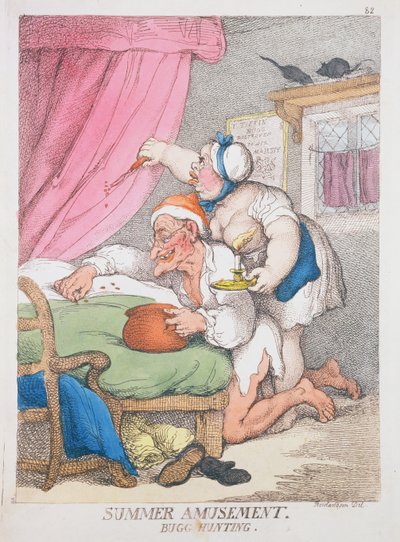 Zomervermaak. Insectenjacht door Thomas Rowlandson