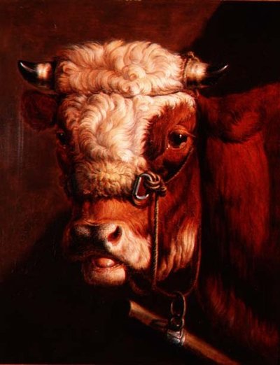 Portret van een Stierenkop door Thomas Sidney (studio of) Cooper