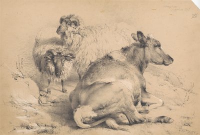 Een koe en twee rammen door Thomas Sidney Cooper