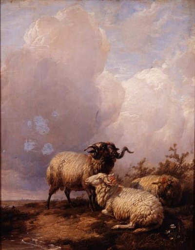 Schapen in Landschap door Thomas Sidney Cooper