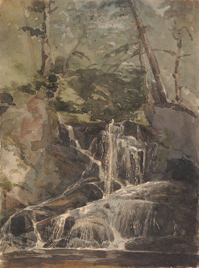 Kleine Waterval in Bos door Thomas Sully