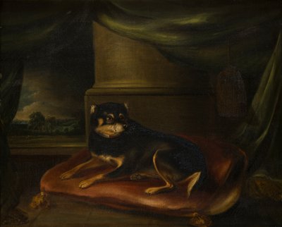 Een favoriete terriër op een rood kussen, c.1794-1843 door Thomas Weaver