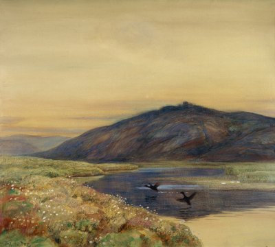 Landschap met vogels door Thorolf Holmboe