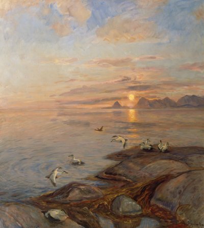 Zeevogels in middernachtzon door Thorolf Holmboe