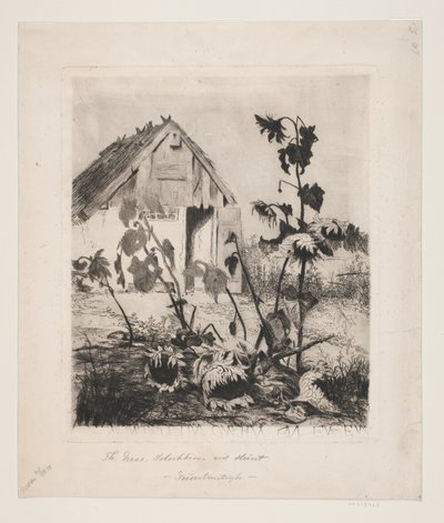 De zonnebloemen bij het huis door Thorvald Niss