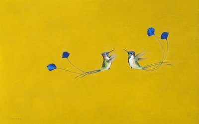 Kolibries door Tim Hayward