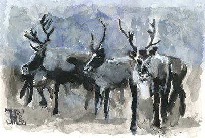 Drie rendieren in de winter door Tim Hoinkis