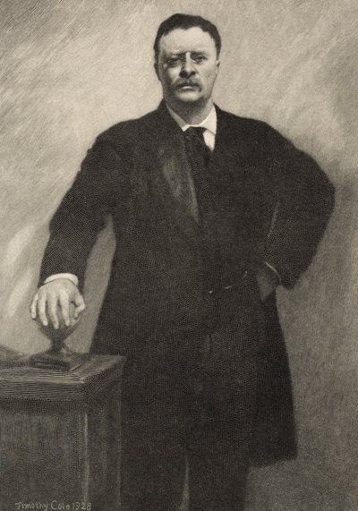 Theodore Roosevelt, 1928 door Timothy Cole