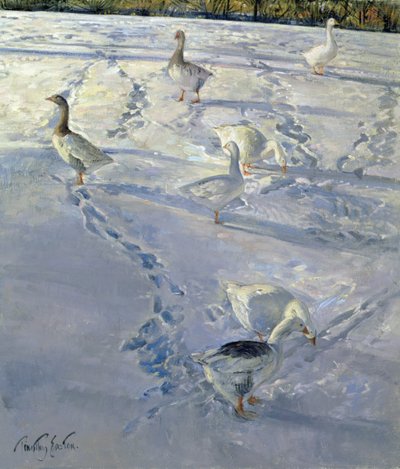 Schaduwen en Paden door Timothy Easton