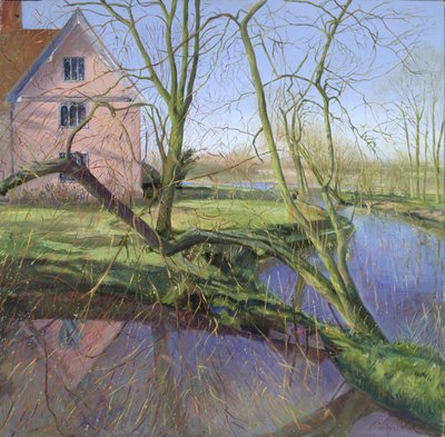 Ontluikende wilg door Timothy Easton