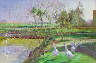 Wilg en ganzen door Timothy Easton