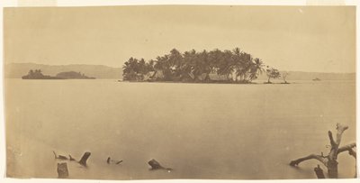 [Landengte van Darién (Panama)] door Timothy H. O