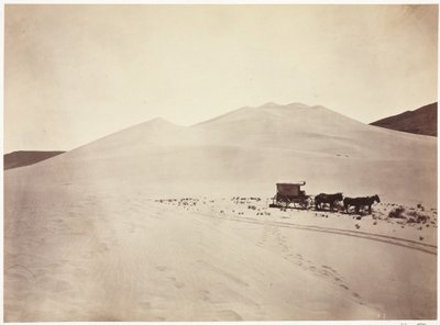 Zandduinen, Carson Woestijn, Nevada door Timothy H. O