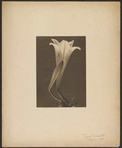 Nr. 1. door Tina Modotti
