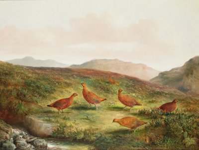 Korhoen in een Heide Landschap door Tom Hold