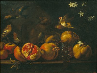 Stilleven met Granaatappels, Druiven, Vogels en een Eekhoorn door Tommaso Realfonso