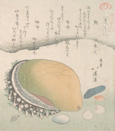 Awabi-oorschelp en diverse schelpen, 19e eeuw door Totoya Hokkei