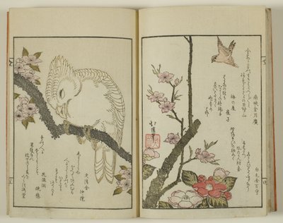 Kyoka hyakucho Kocho door Totoya Hokkei