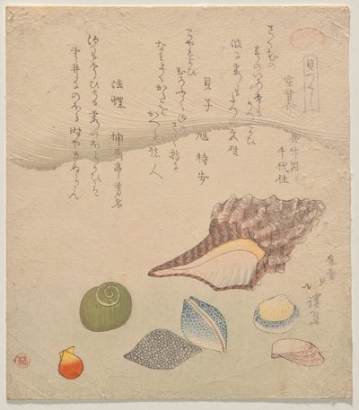 Zeven schelpen aan de rand van de zee, uit de serie Schelpen Compendium (Kaizukushi) door Totoya Hokkei