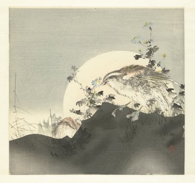 Kwartels door Tsukioka Kogyo