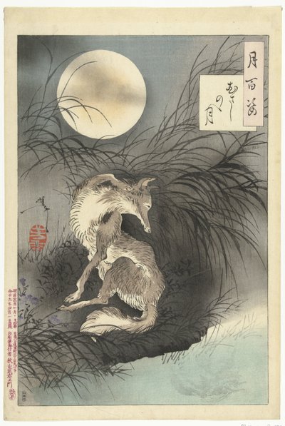 Maan van de Musashi vlakte Honderd aspecten van de maan door Tsukioka Yoshitoshi